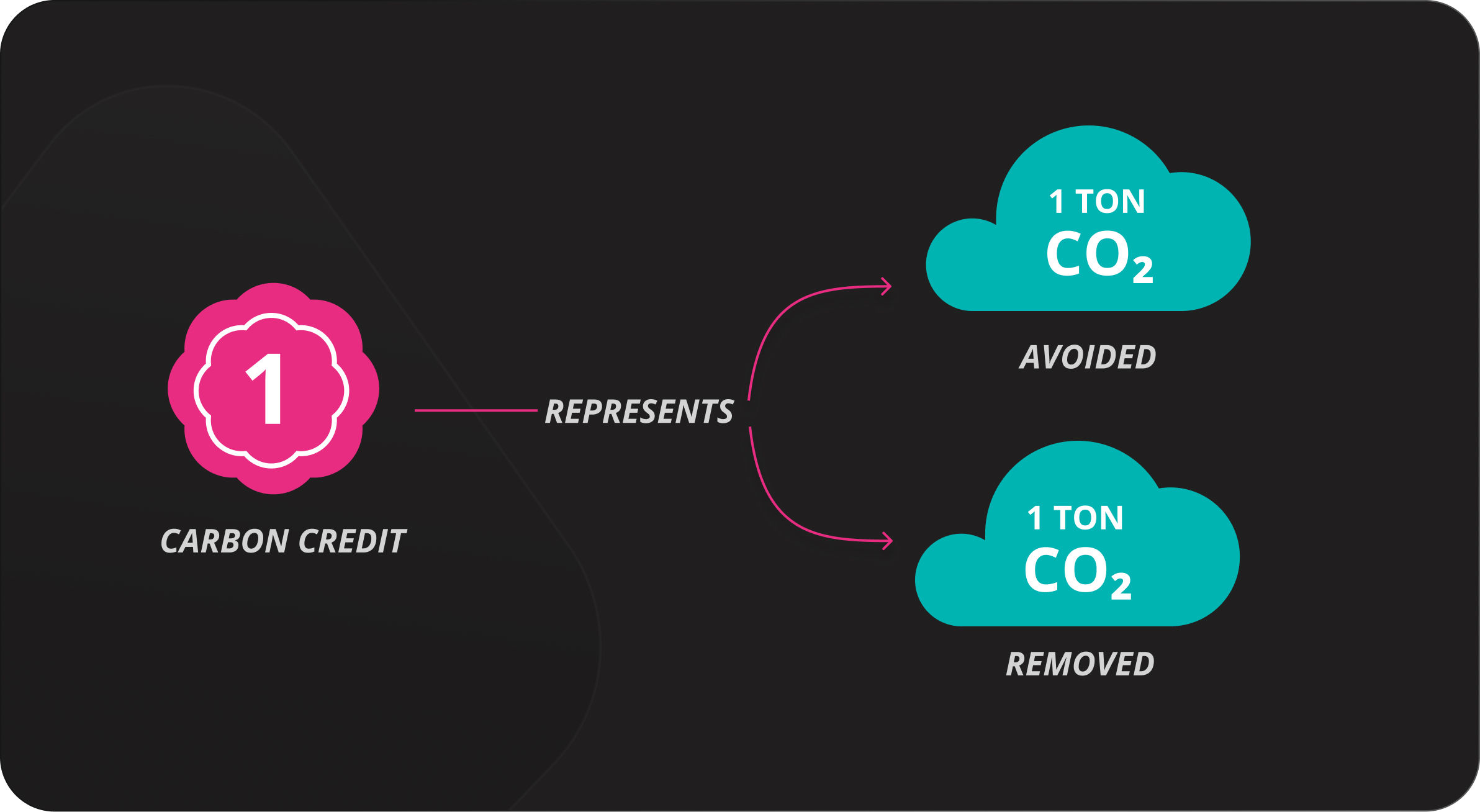 Illustration showing a carbon credit representing 1 ton of CO₂ avoided and 1 ton of CO₂ removed, with clouds as visuals.