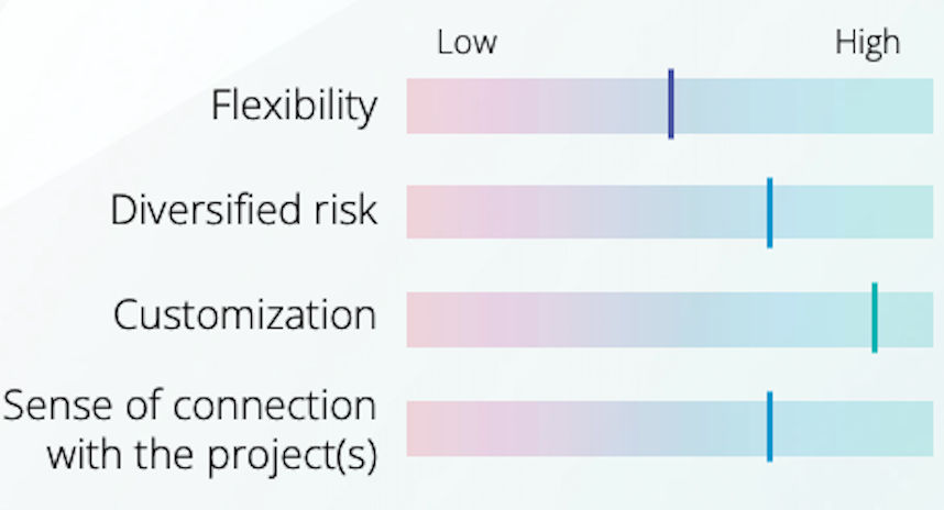 A chart displaying four categories with varying levels of flexibility, risk diversification, customization, and project connection - all in relation to carbon credits.
