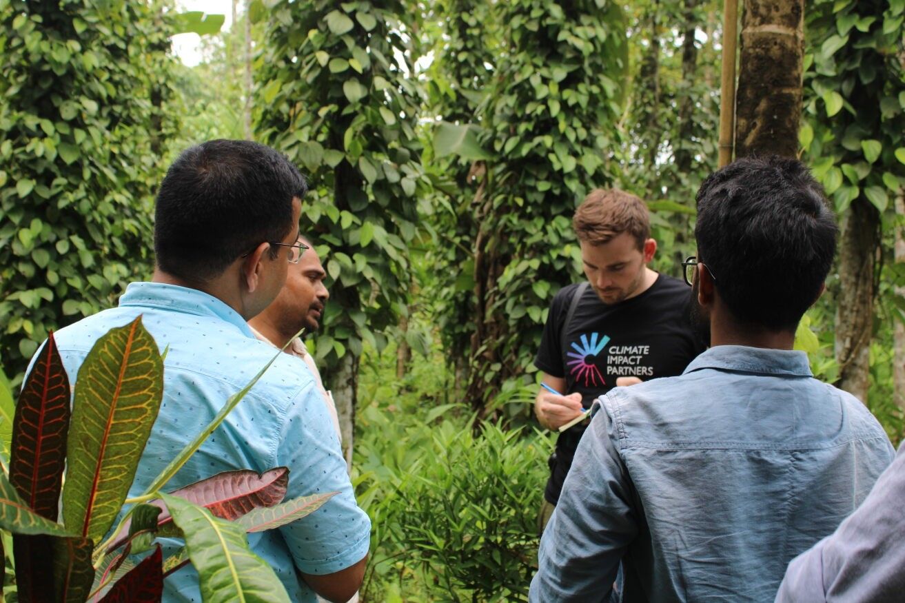 A Climate Impact Partners team visiting the Panna Afforestation Project, India and discussing in a forested area with tall, leafy plants.