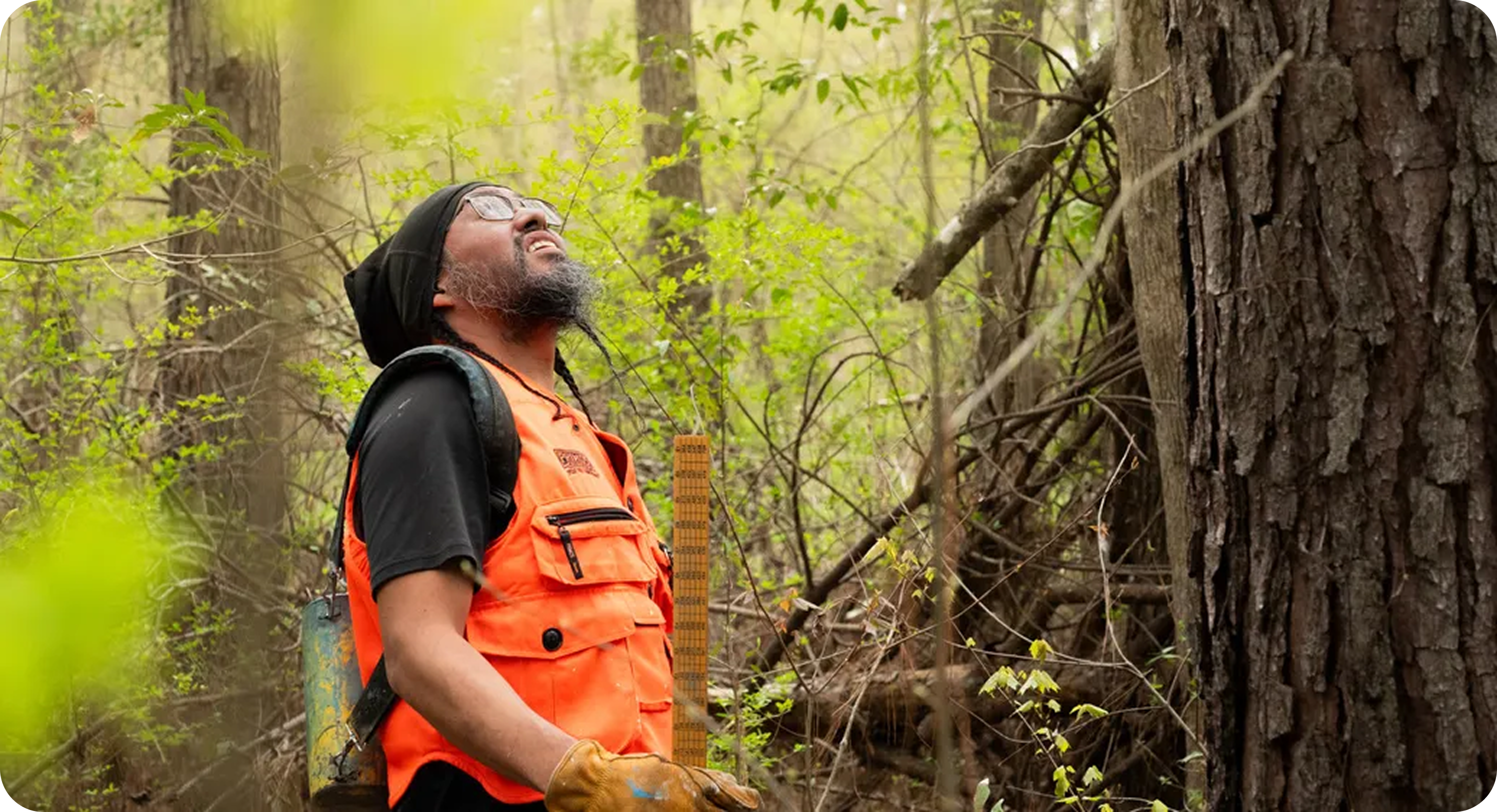 A tribal member measuring tree growth, Mississippi Band of Choctaw Indians IFM, USA