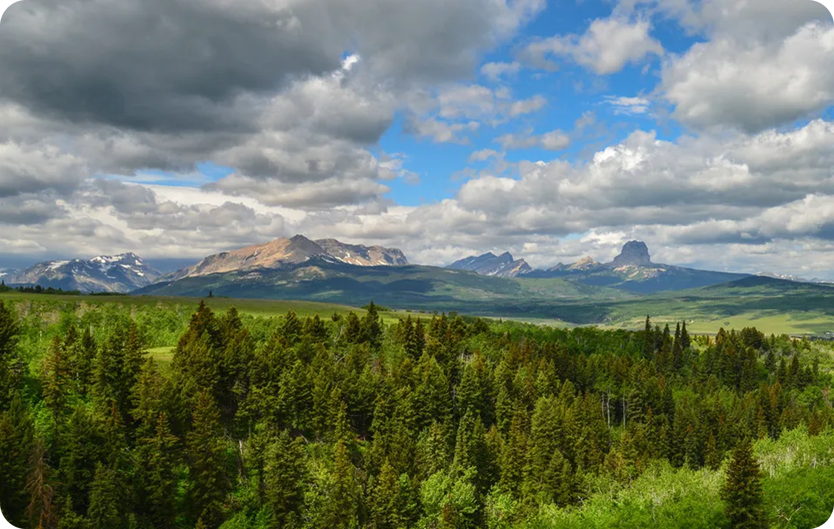 Lush green forest in the USA with distant mountains under a partly cloudy sky, showcasing a vibrant natural landscape.