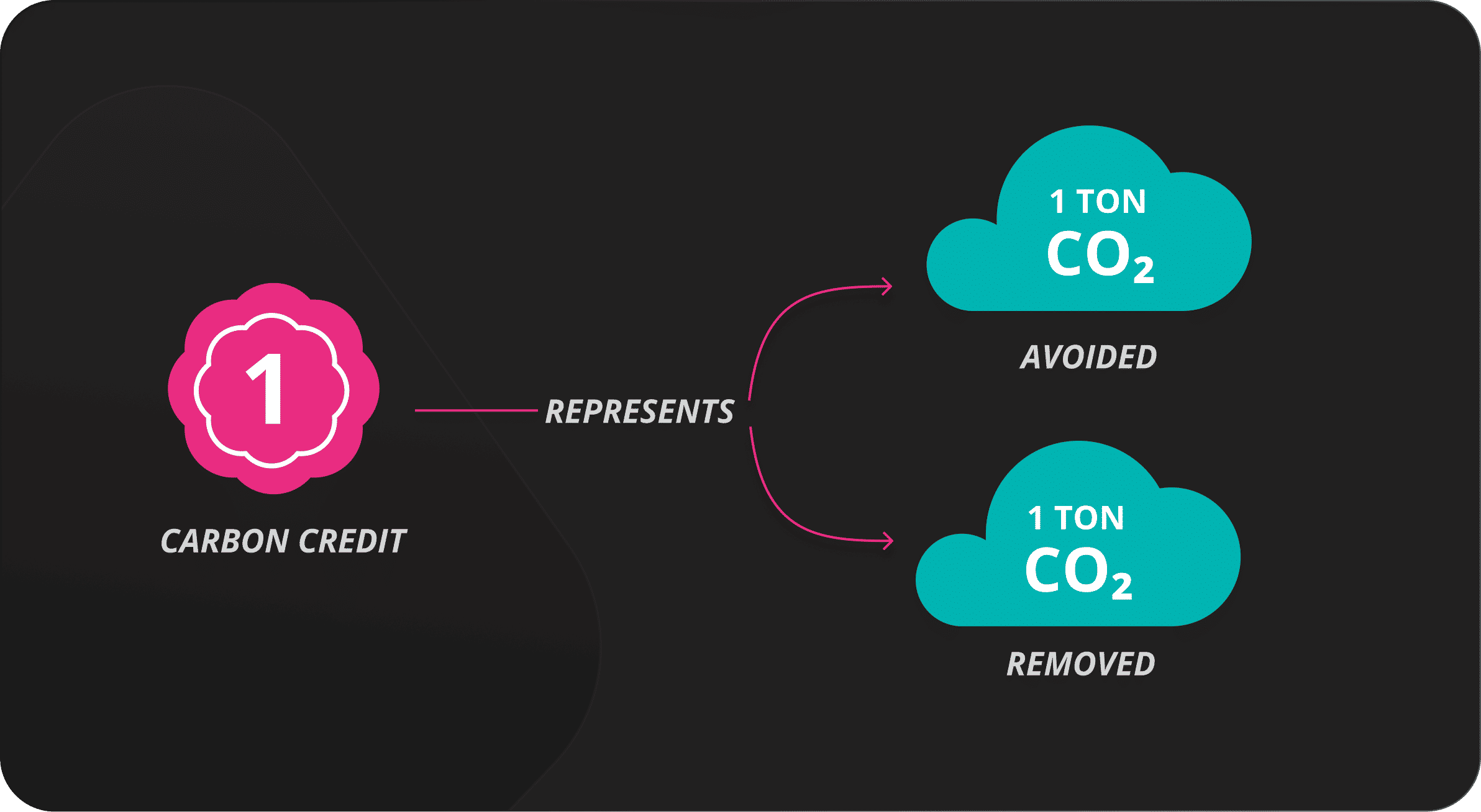 Illustration showing a carbon credit representing 1 ton of CO₂ avoided and 1 ton of CO₂ removed, with clouds as visuals.