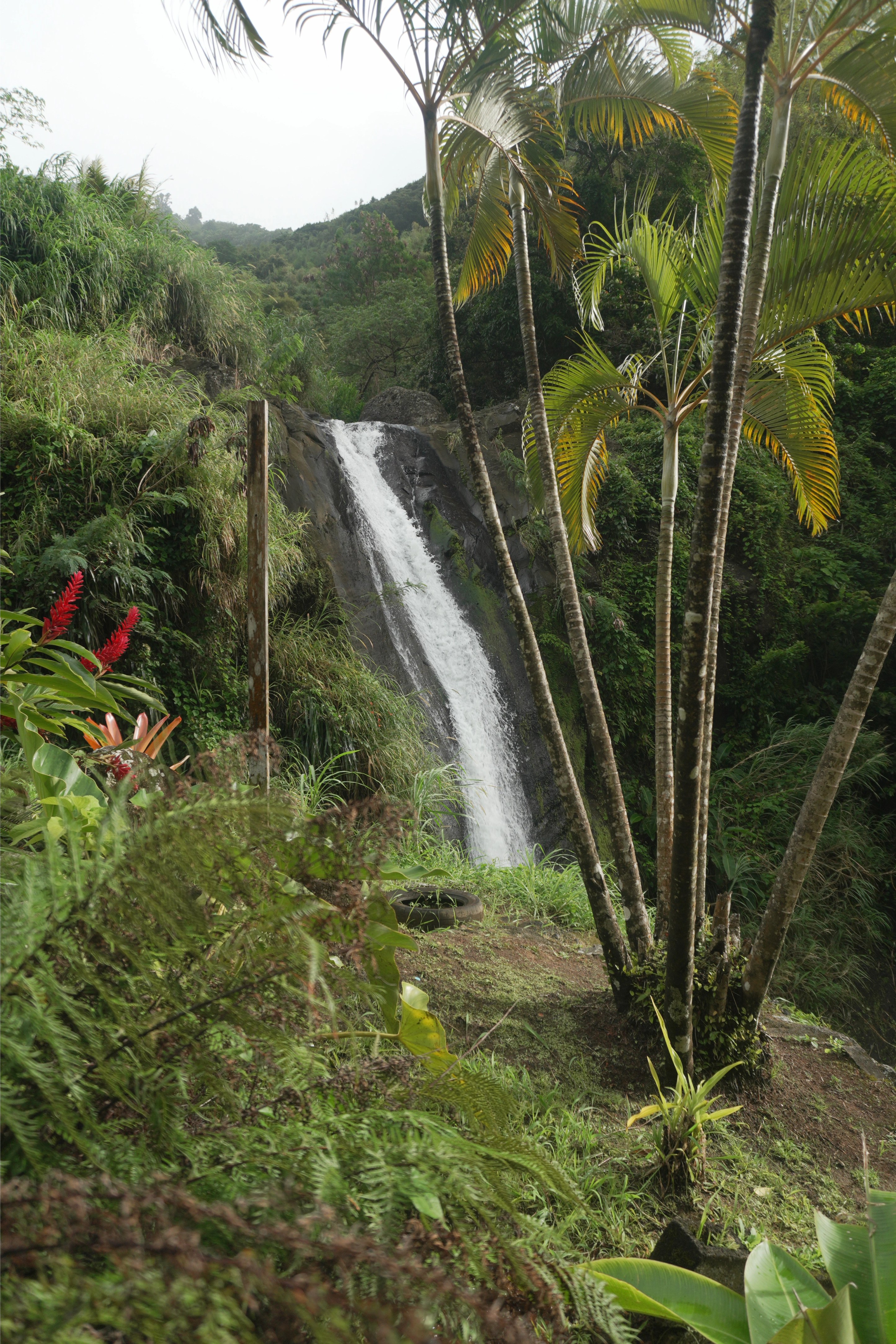 Concord Falls & Chocolate Experience: Waterfalls & Cocoa Magic