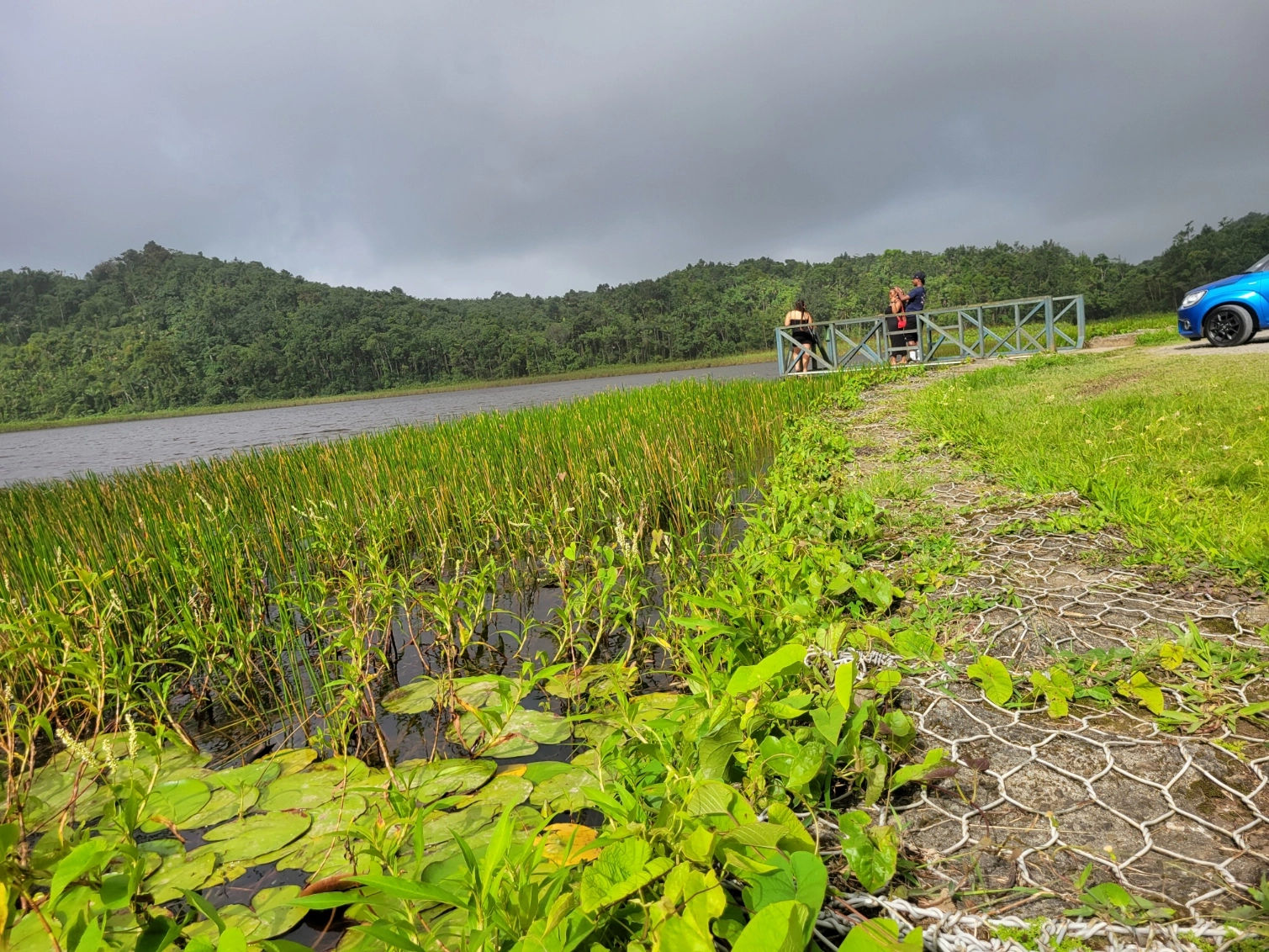 Grenada Full Day Island Tour: Rainforest, Chocolate & Rum Experience