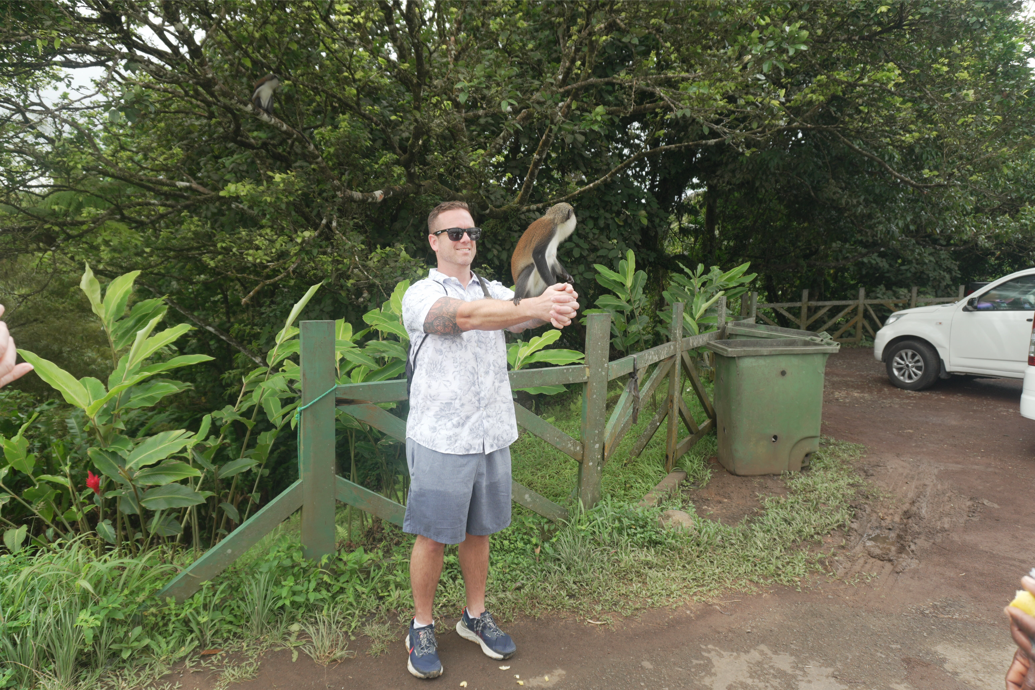 The Grenada Highlights Tour: Chocolate, Rainforest & Waterfall