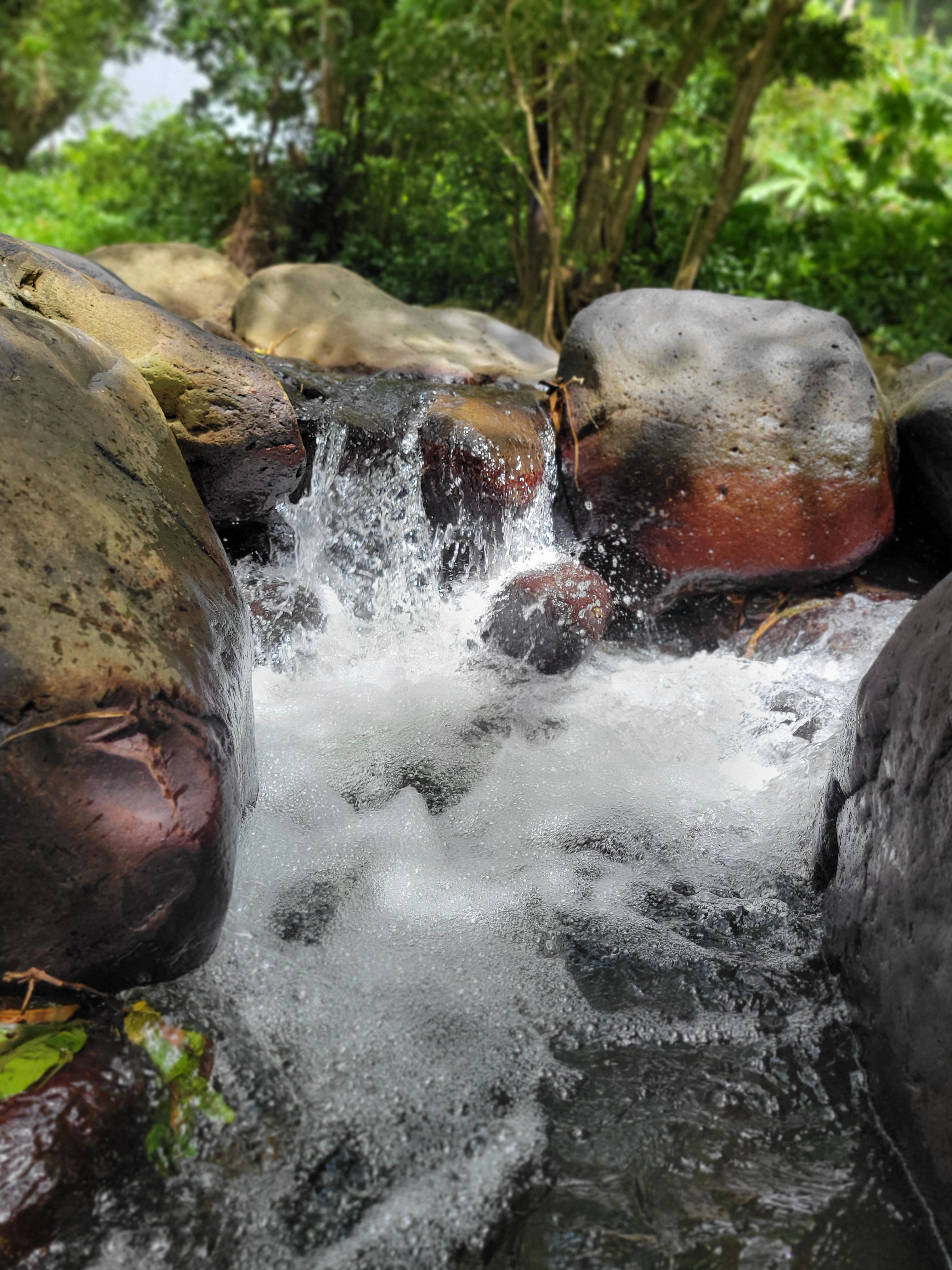 Concord Falls & Chocolate Experience: Waterfalls & Cocoa Magic