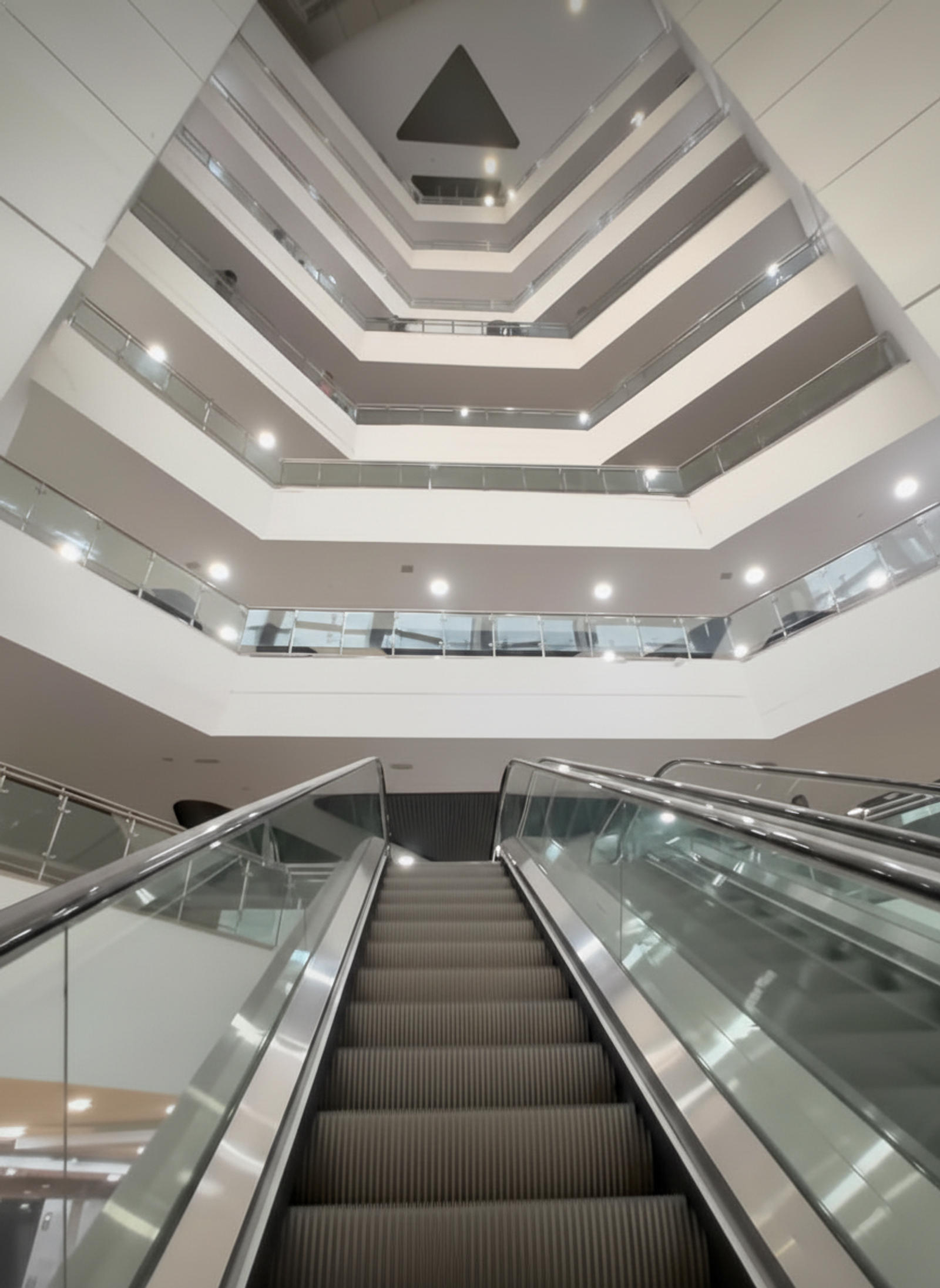 Anna Centenary Library
