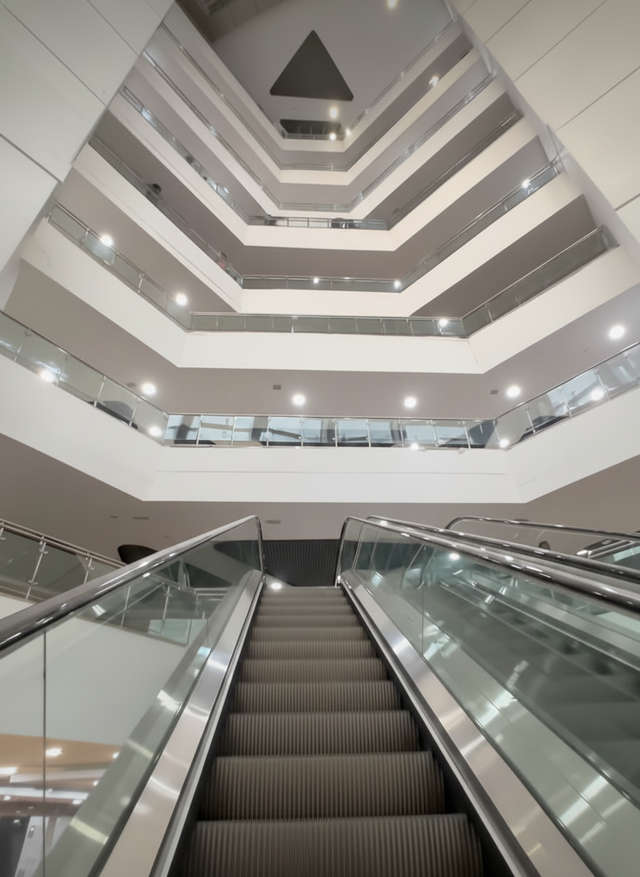 Explore a massive collection of books at one of Asia's largest libraries