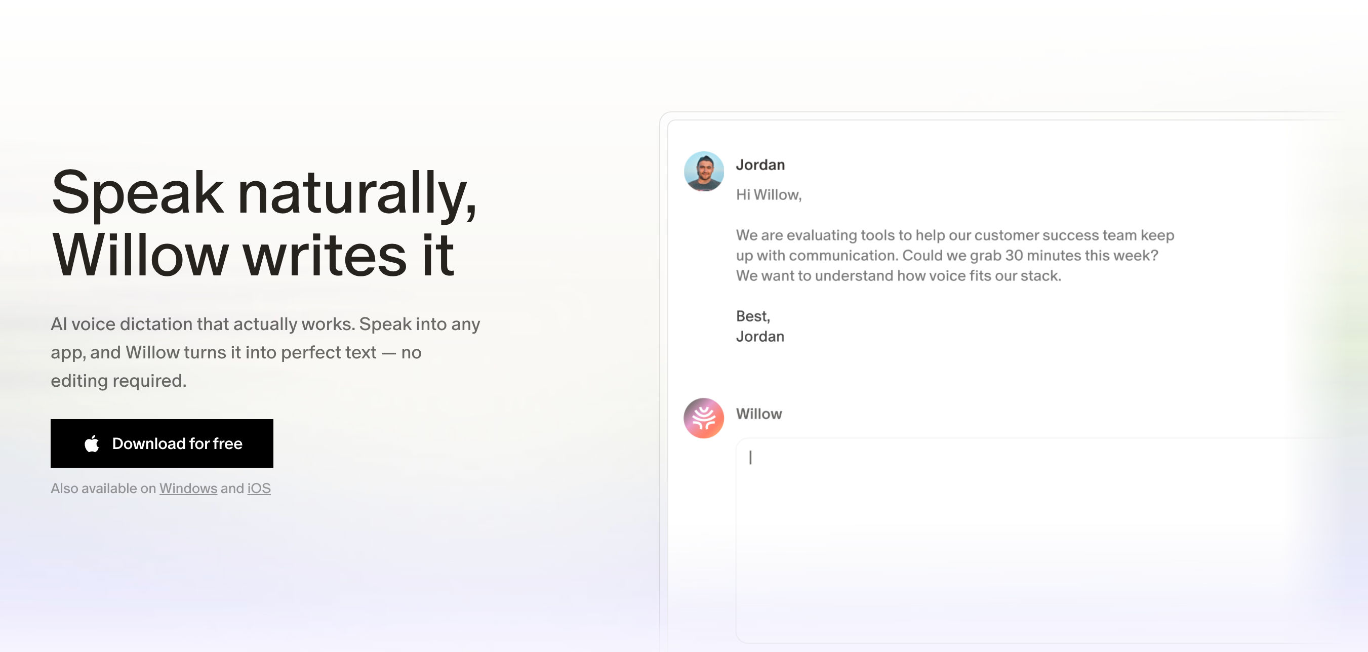 Willow Voice app screenshot