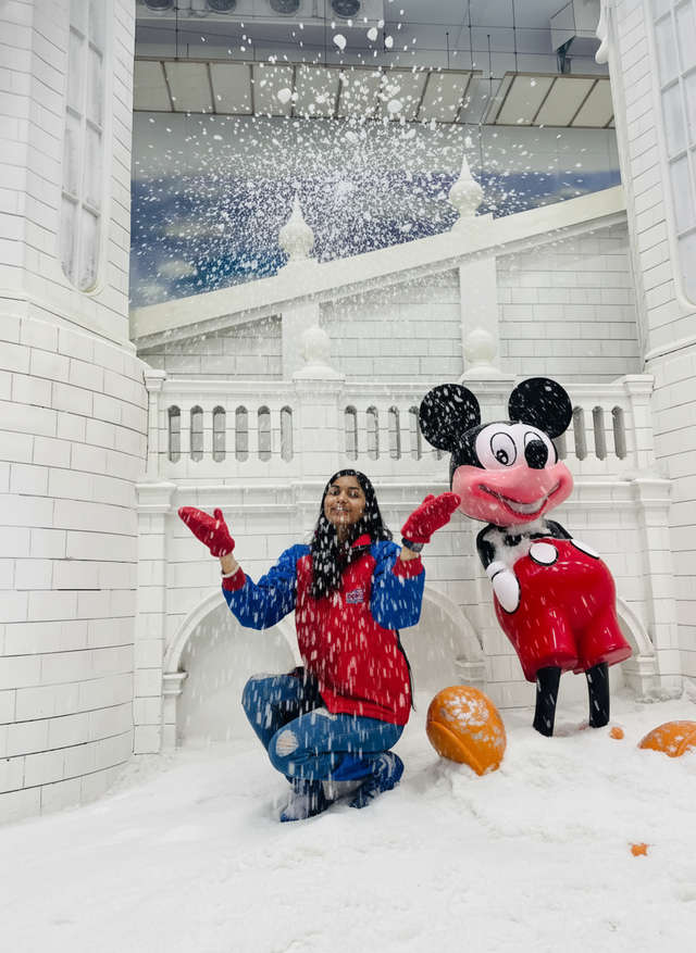 Spend a snowy fun day out with your friends at this thrilling snow park