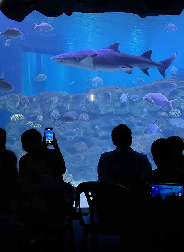 Explore the largest marine aquarium in Chennai with walk-through tunnels, exotic fish exhibits & live feeding sessions