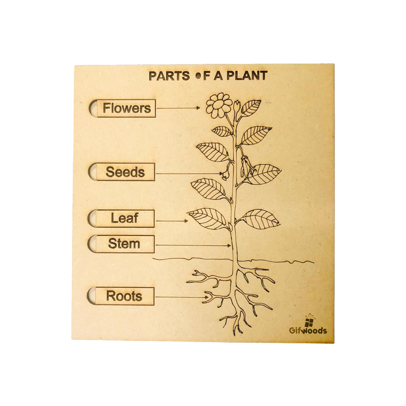 Part of Plant Puzzles
