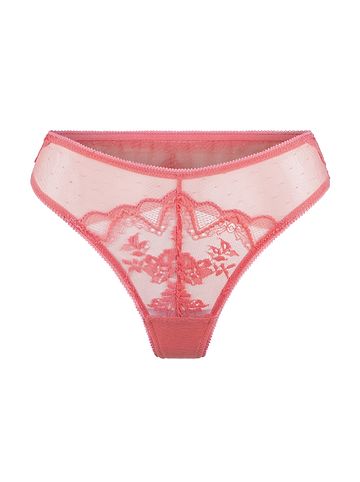 String String Spiced coral