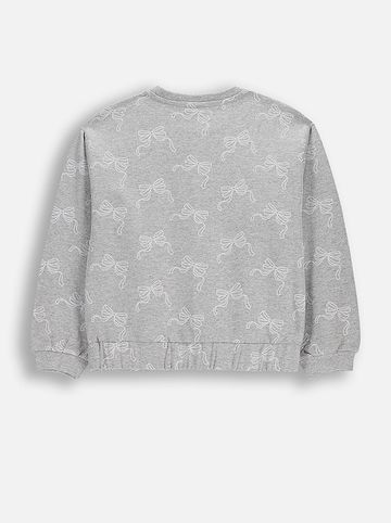 Sweatshirt in grau