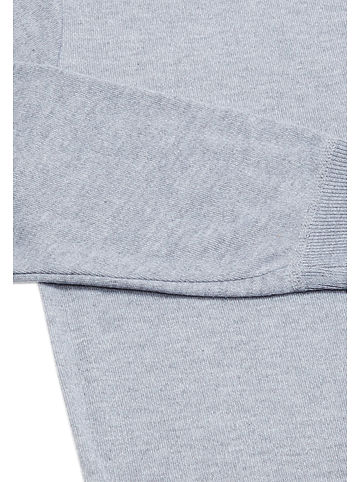 Herren Pullover in Hellgrau Melange