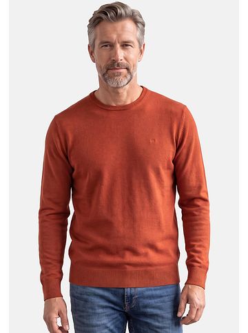 Pullover Basic in Terra
