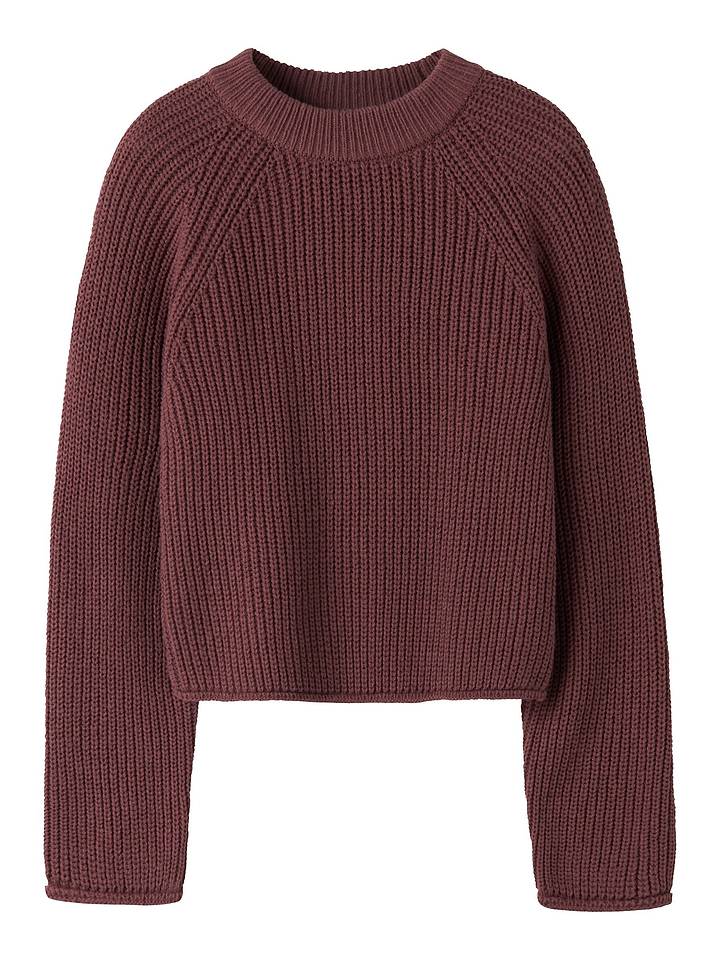 Strickpullover in Wild Ginger1