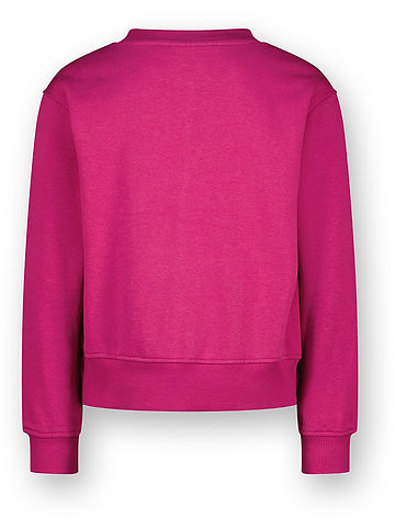 Sweatshirt in Pink