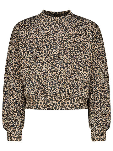 Sweatshirt in Hellbraun