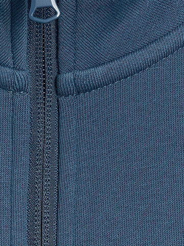 Sweatshirt in Blau
