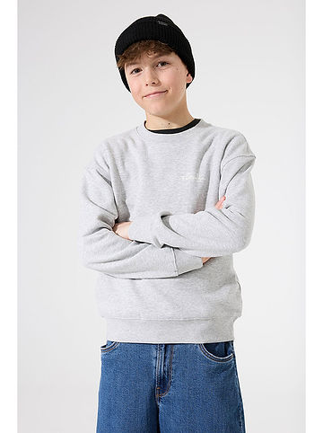 Sweatshirt in Grau