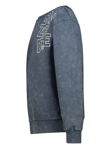 Sweatshirt "Nyah" in Grau