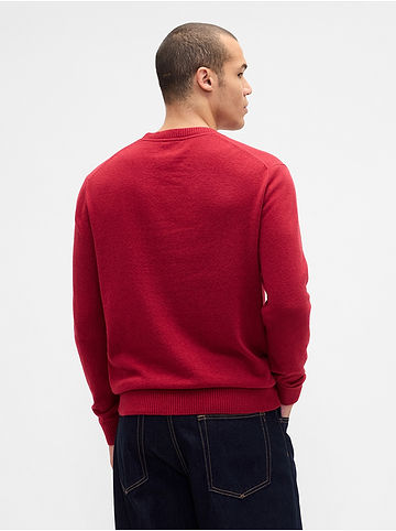 GAP Pullover in Rot