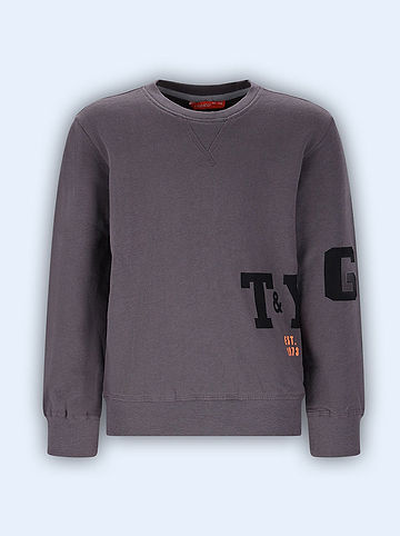 Sweatshirt "Siebe" in Grau