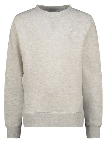 Sweatshirt in Grau