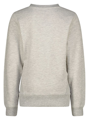 Sweatshirt in Grau