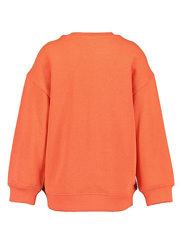 Sweatshirt in Orange
