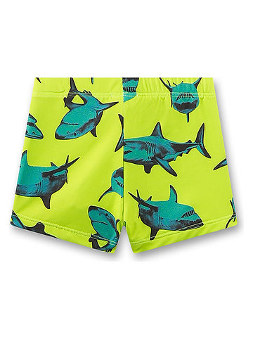 Badehose in Grün