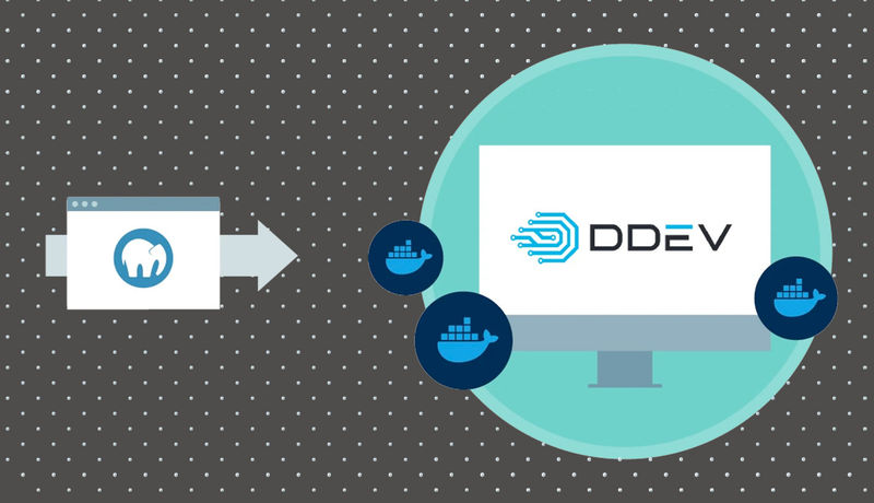 Transitioning from MAMP Pro to DDEV: A Comprehensive Guide