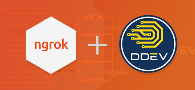 Using ngrok with DDEV for site testing on mobile devices