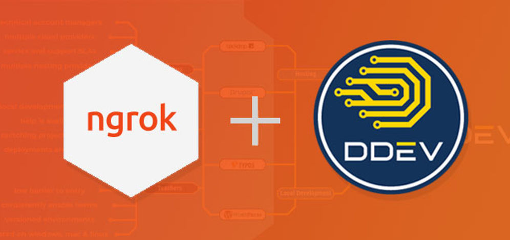 Using ngrok with DDEV for site testing on mobile devices