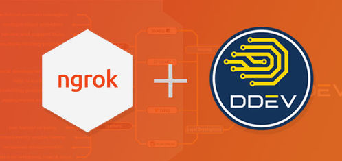 Using ngrok with DDEV for site testing on mobile devices