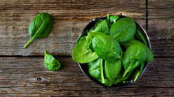 Spinacini