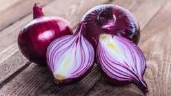 Cipolle Rosse