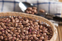 Fagioli Borlotti preammollati