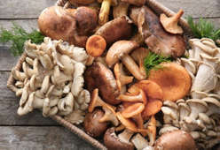 Funghi Misti