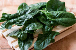 Spinaci puliti