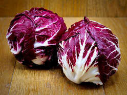 Radicchio tondo