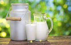 Latte BIO intero