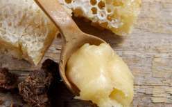 Pappa Reale fresca Bio
