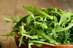 Rucola - 1 mazzo