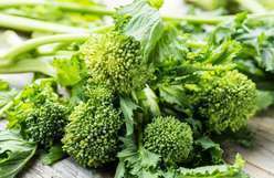 Cime di Rapa
