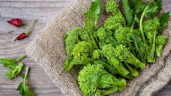 Cime di Rapa pulite