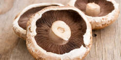 Funghi Portobello