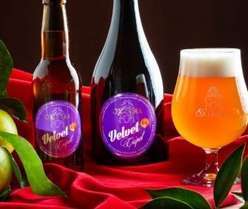 Birra Velvet