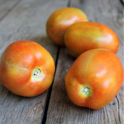 Pomodoro Oblungo da Insalata